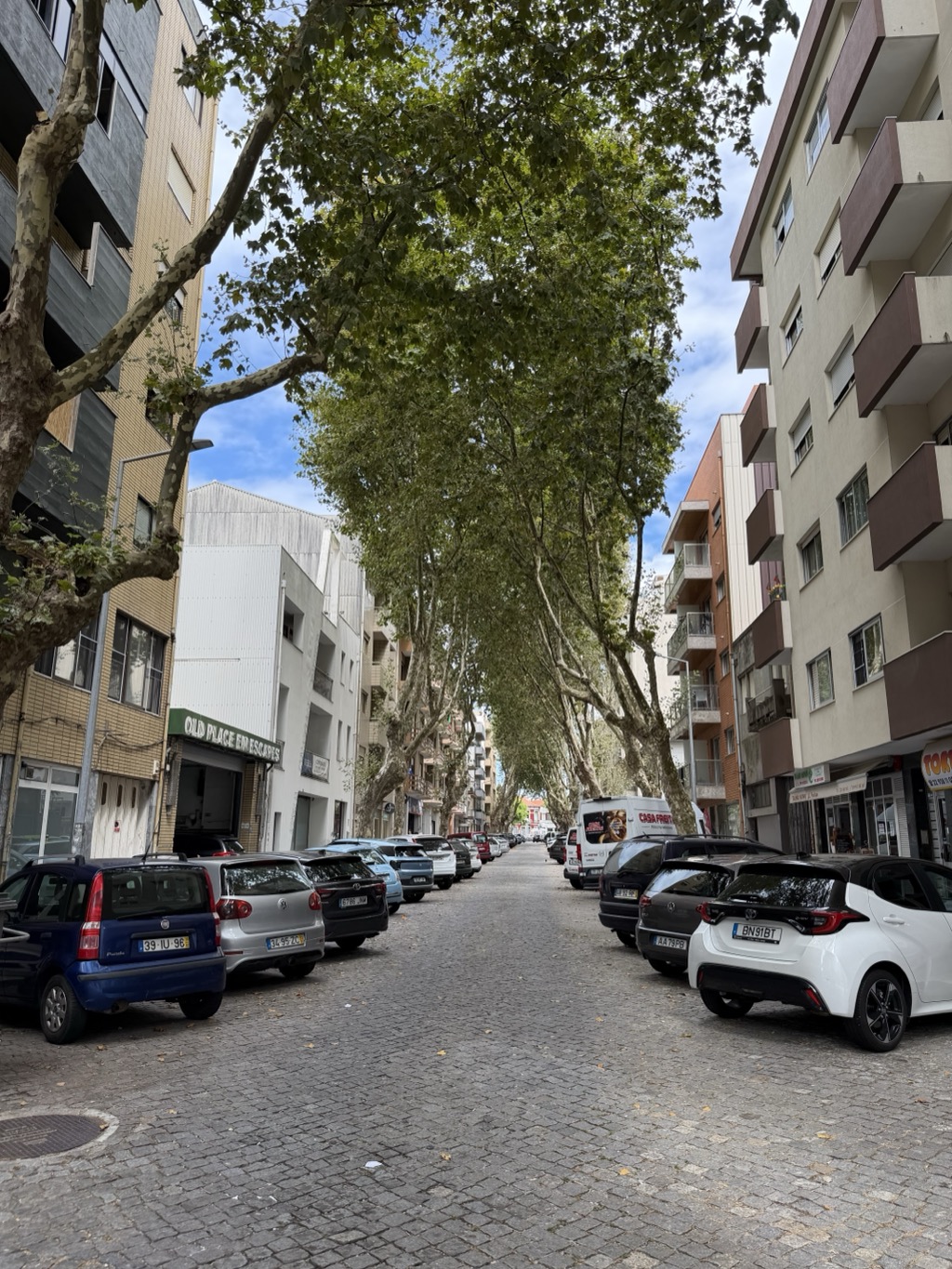 Looking down a long residential Matosinhos street paved in granite cobbles, tightly lined on both sides with parked cars carrying Portuguese plates. Mature plane trees arch overhead from both curbs, meeting in a dense green canopy that shades the roadway into the distance. Mid-rise apartment blocks in cream, brown, and grey render rise on either side with recessed balconies and shopfronts at street level -- a green awning at left reads Old Place em Escapes, and a white delivery van marked Casa Frut is parked further down. Patches of blue sky and white cloud show through the branches.