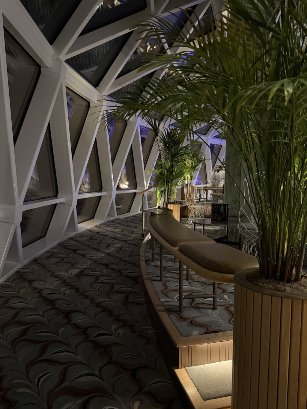 The Eden lounge aboard the Celebrity Apex at night, looking down its curved length. The outboard wall is a full-height lattice of white structural ribs dividing the glazing into tall triangles and diamonds, the glass black against the open Atlantic outside and faintly reflecting the room's lights. A long tan leather banquette curves along the right side on slender metal legs, raised on a low platform of pale slatted wood. Tall potted areca palms stand at intervals in ribbed wooden planters, their fronds reaching into the frame from above. Beyond them, white filigree wire chairs and small dark tables sit under violet accent lighting. The floor is laid with a dark carpet in a swirling feathered pattern of charcoal, teal, and rust.