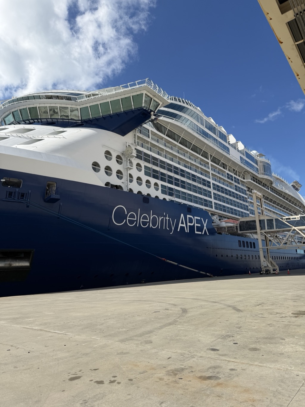 Looking up at the Celebrity Apex from the concrete dock apron, the ship filling most of the frame at a steep angle. Its deep navy hull carries the white wordmark Celebrity APEX in large lettering, with a row of round porthole windows above and tier upon tier of white balcony cabins and glass-fronted decks rising to the top. A white gangway structure and mobile stairs connect to the ship at the right, with orange traffic cones on the tarmac beside them. Bright blue sky with streaks of high white cloud.