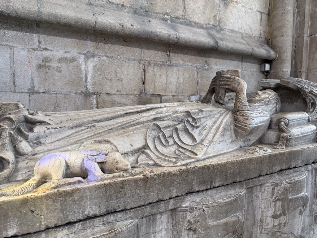 Close view of a carved stone tomb effigy inside Lisbon Cathedral. The recumbent figure lies on a raised sarcophagus, hands folded together in prayer at the chest, the head resting on a stone cushion beneath a carved canopy at the right. The robes fall in deep vertical folds across the body, with a decorative motif carved at the waist. At the feet, a small stone dog lies curled with its head on its paws, catching a faint patch of violet light. The tomb chest below is carved with worn relief panels, set against a plain ashlar block wall with a projecting stone molding running above.