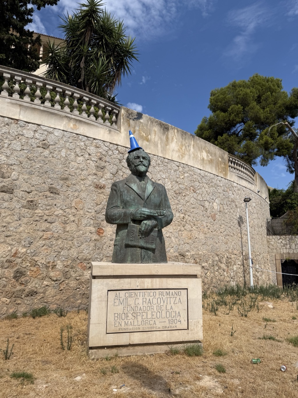 A weathered bronze bust of a bearded man in a jacket, holding a rolled document and a book, mounted on a pale stone plinth on a patch of dry burnt grass. Someone has balanced a small blue and white traffic cone on his head like a party hat. The plinth is inscribed AL CIENTIFICO RUMANO EMIL G. RACOVITZA, FUNDADOR DE LA BIOESPELEOLOGIA EN MALLORCA -- 1904, FUNDACION EUROPEA DRAGAN. Behind him, the curving dry-stone retaining wall of the castle grounds sweeps across the frame, topped by a pale stone balustrade with palms and pines above it against a deep blue sky.
