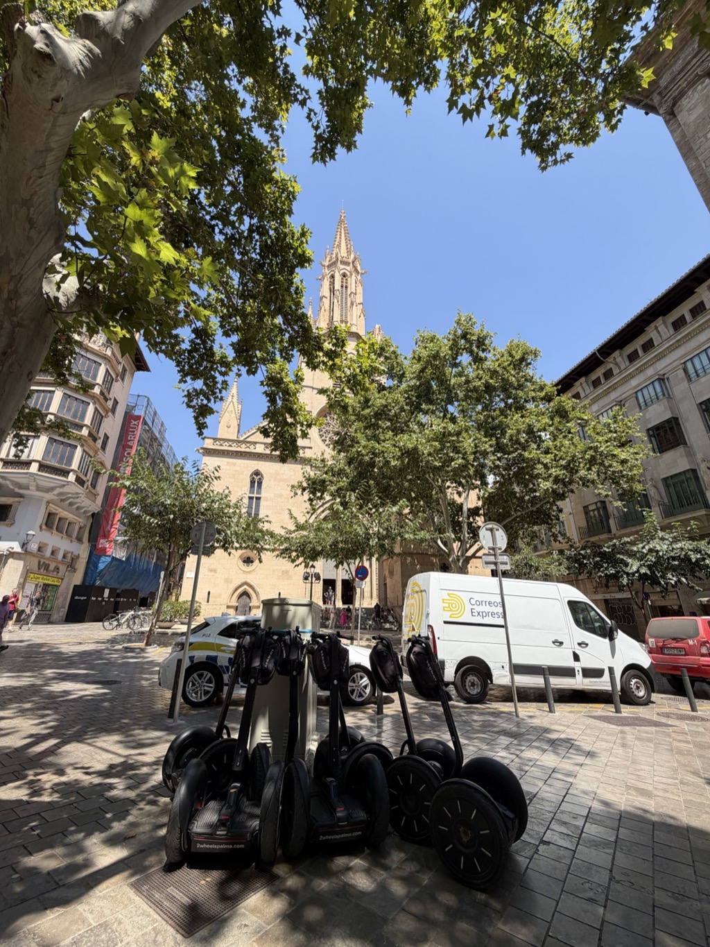 Eight black Segways parked in a cluster on the granite paving of a shaded Palma square, their handlebar columns leaning together and 2wheelspalma.com printed on the footboards. A huge plane tree arches over the top of the frame, its branches framing the honey-stone Gothic church beyond -- a tall openwork bell tower with a slender spire rising above a gabled nave with lancet windows and a pointed doorway where a few people stand. A white Correos Express delivery van and a white and blue police car are parked along the far side of the square, with a red car at the right and tall shuttered apartment buildings enclosing the space. Bright blue sky above the tree canopy.