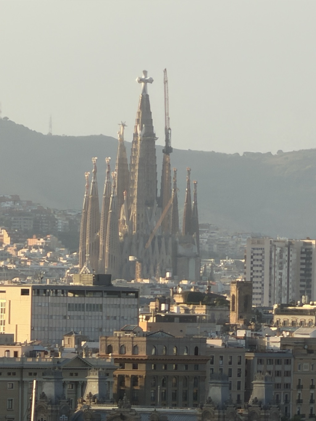 The spires of the Sagrada Familia rising above the Barcelona rooftops, seen at long range through the golden haze of early evening. The tallest tower is capped with a white cross and a construction crane stands close beside it. In front, the dense city stretches across the frame -- office blocks, apartment buildings, a domed roof and a stone bell tower -- and behind, the wooded ridge of the Collserola hills fades into pale sky.