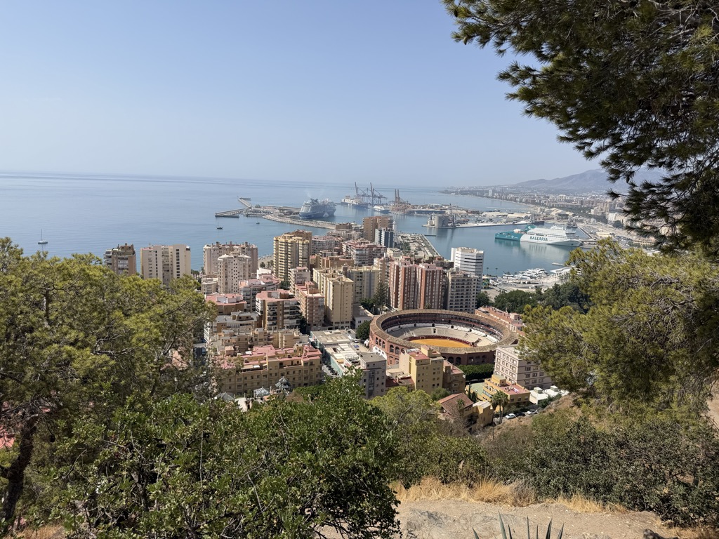 The view down over Málaga from the wooded hillside below the Gibralfaro, framed by pine branches at the top and scrubby trees in the foreground. The circular Malagueta bullring sits at the centre of a dense grid of apartment blocks in cream, pink and terracotta, and beyond it the harbour spreads out -- container cranes, a white Baleària ferry, and a cruise ship moored along the far quay. The Mediterranean fills the left of the frame in flat pale blue under a hazy sky, with hills receding along the coast to the right.